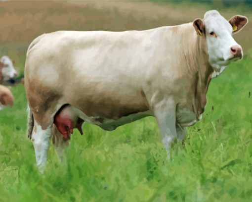 White Simmental Cattle Diamond Painting