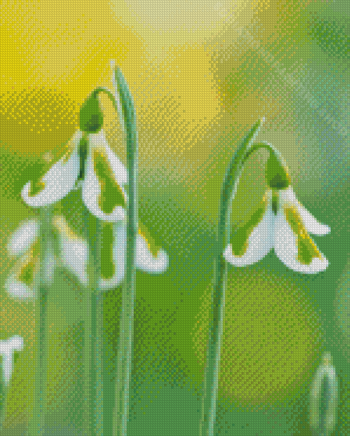 White Snowdrops Diamond Painting