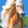 Wild Haflinger Horse Diamond Painting