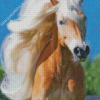 Wild Haflinger Horse Diamond Painting