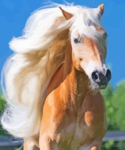 Wild Haflinger Horse Diamond Painting