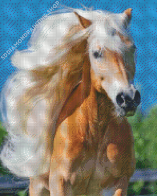 Wild Haflinger Horse Diamond Painting