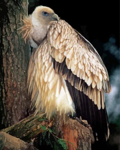 Wild Himalayan Vulture Diamond Painting