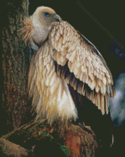 Wild Himalayan Vulture Diamond Painting