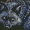 Yellow Eyes Silver Fox Diamond Painting