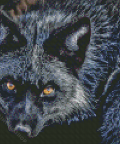 Yellow Eyes Silver Fox Diamond Painting