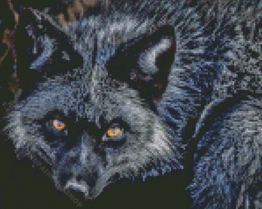 Yellow Eyes Silver Fox Diamond Painting