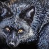 Yellow Eyes Silver Fox Diamond Painting