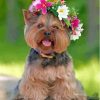 Yorkshire Terrier And Flowers Crown Diamond Painting