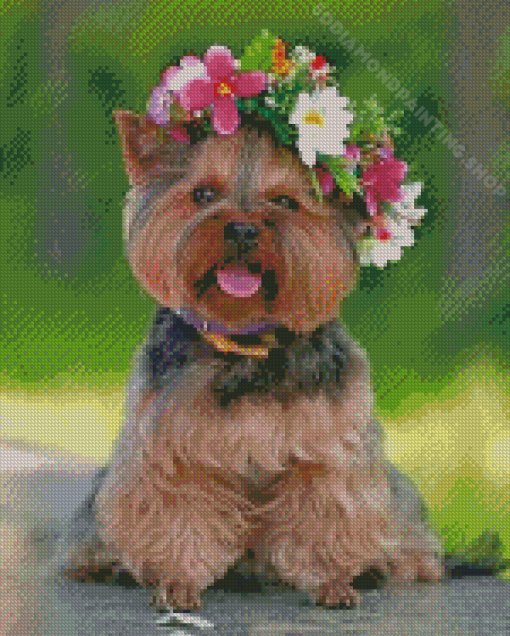 Yorkshire Terrier And Flowers Crown Diamond Painting