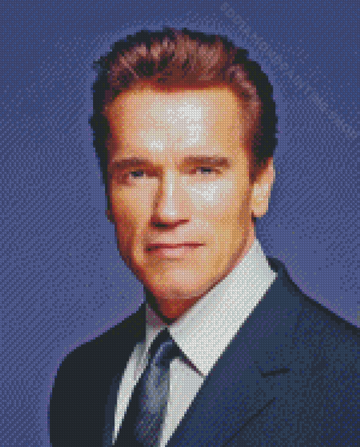 Young Actor Arnold Schwarzenegger Diamond Painting