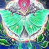 Aesthetic Luna Moth Diamond Painting