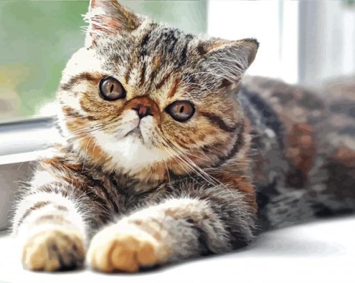 Aesthetic Exotic Shorthair Cat Diamond Painting