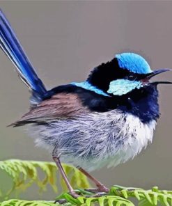 Aesthetic Fairy Wren Bird Diamond Painting