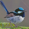 Aesthetic Fairy Wren Bird Diamond Painting