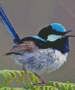 Aesthetic Fairy Wren Bird Diamond Painting