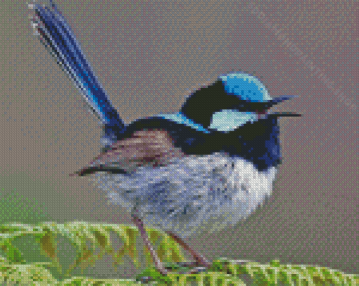 Aesthetic Fairy Wren Bird Diamond Painting