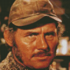 Aesthetic Robert Shaw Diamond Painting