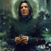 Aesthetic Severus Diamond Painting