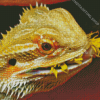 Bearded Dragon Eating Flower Diamond Painting