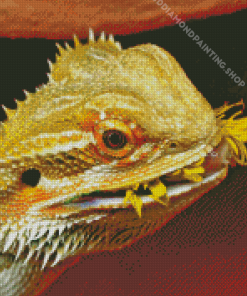 Bearded Dragon Eating Flower Diamond Painting