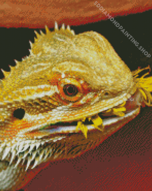 Bearded Dragon Eating Flower Diamond Painting