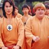 Beverly Hills Ninja Characters Diamond Painting