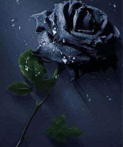 Black Rose Diamond Painting