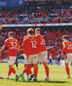 Blackpool Fc Players Diamond Painting