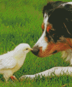 Chickens And Dog Diamond Painting