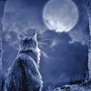 Moon Cat Diamond Painting