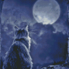 Moon Cat Diamond Painting