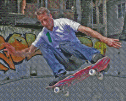 Tony Hawk Diamond Painting