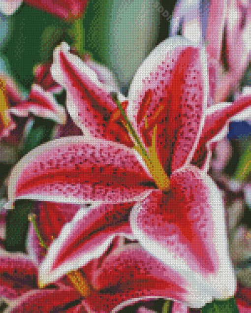 Stargazer Lily Diamond Painting