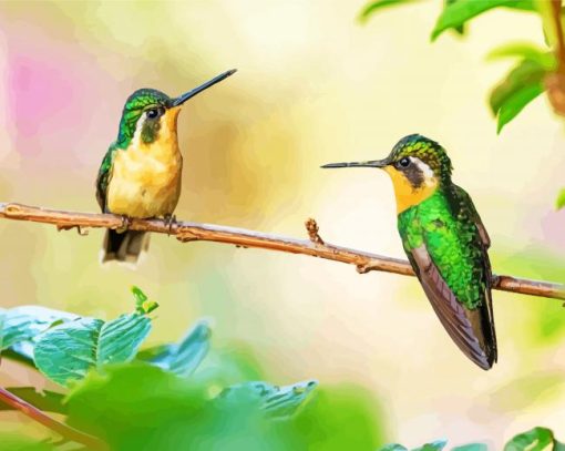 Couple Hummingbird Diamond Painting