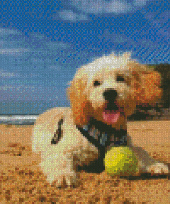 Dog In Beach Diamond Painting