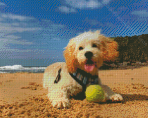 Dog In Beach Diamond Painting