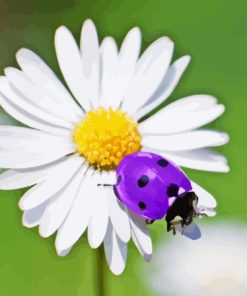 Purple Ladybug Diamond Painting