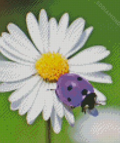 Purple Ladybug Diamond Painting