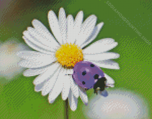 Purple Ladybug Diamond Painting