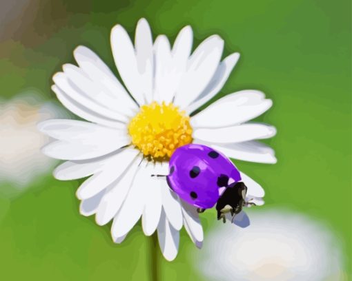 Purple Ladybug Diamond Painting