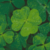 Lucky Leaves Diamond Painting