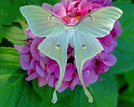 Luna Moth Wings Diamond Painting