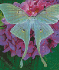 Luna Moth Wings Diamond Painting