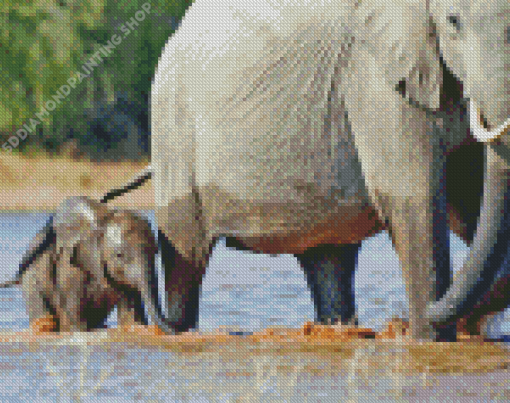 Mom And Baby Elephant In Water Diamond Painting