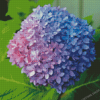 Pink Blue Hydrangea Flower Diamond Painting