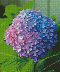 Pink Blue Hydrangea Flower Diamond Painting