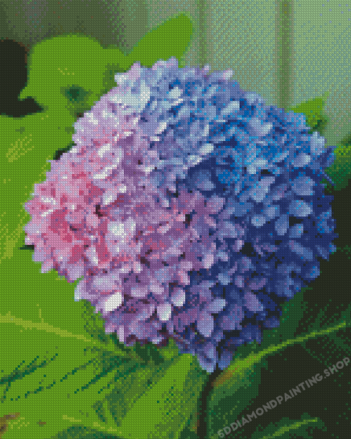 Pink Blue Hydrangea Flower Diamond Painting