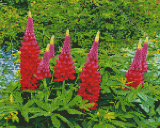 Pink And Purple Lupins Diamond Painting