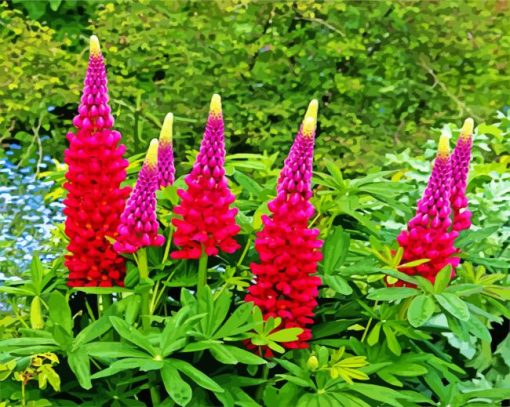 Pink And Purple Lupins Diamond Painting